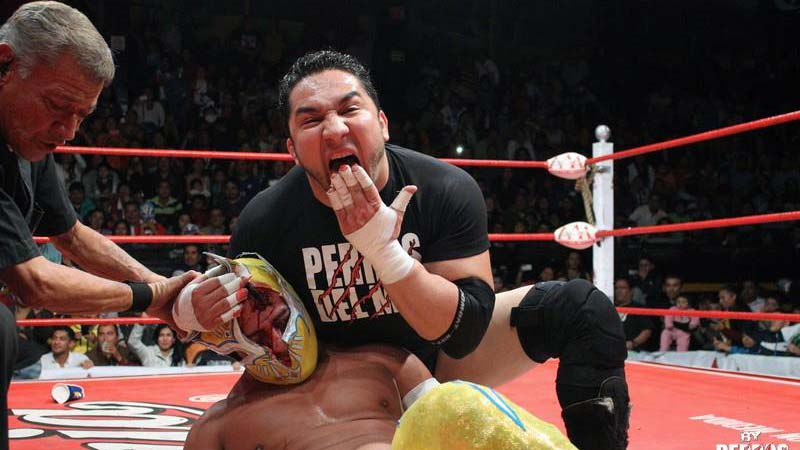 Perro Aguayo Jr.: su impacto y legado en la lucha libre